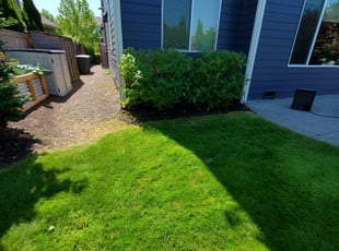 Bush Trimming by Coben Varland for Pranesh R. in Sammamish, WA