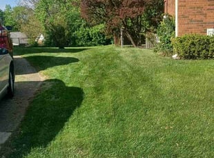 Etta P.'s Lawn Mowing service result