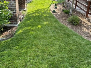 Sharon B.'s Lawn Care service result
