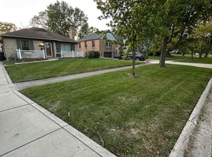 Michele G.'s Lawn Service service result