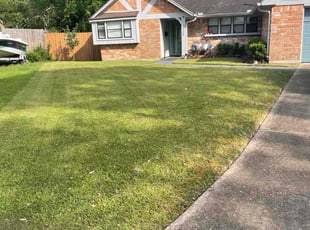 Anthony B.'s Lawn Mowing Service service result