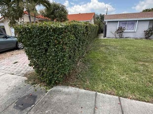 Bush Trimming by Jace Major for Mark K. in Pompano Beach, FL