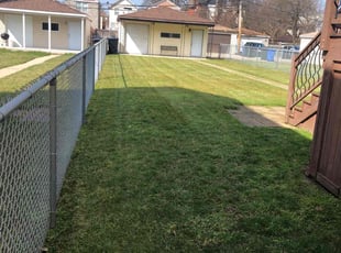 Louie D.'s Grass Cutting service result