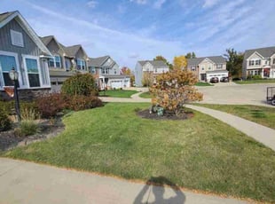 Michael N.'s Lawn Mowing Service service result