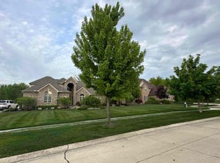 Jason T.'s Lawn Maintenance service result