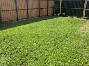 "Rita F.'s Lawn Mowing Service service result