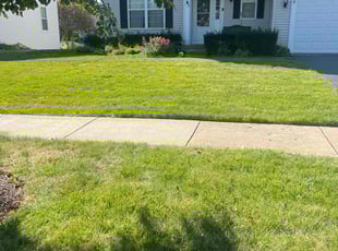 Dave W.'s Lawn Care service result