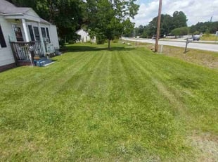 Barbara W.'s Yard Cutting service result