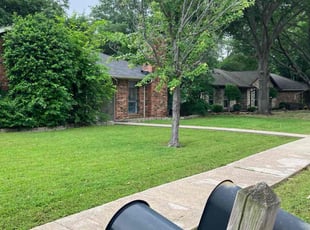 Diane B.'s Lawn Service service result