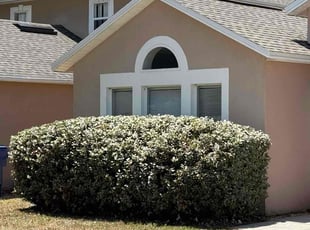 Gerald R.'s Grass Cutting service result