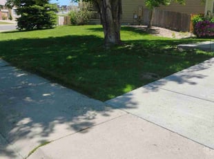 David W.'s Lawn Service service result