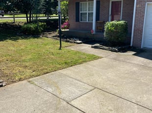 Leaf Removal by Chris Wieland for Michael M. in Murfreesboro, TN