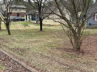 Leaf Removal by Andrew White for Marion K. in Rex, GA