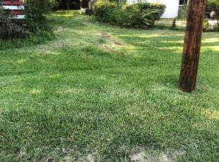 Cleanups by Wayne Banton for Kerry A. in Kannapolis, NC