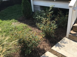 Mulching by Daniel Shaw for Holly J. in Nashville, TN