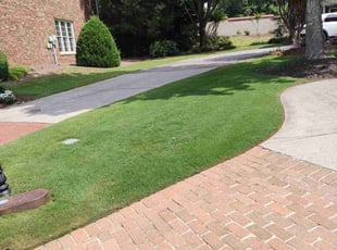 Dwayne S.'s Lawn Maintenance service result