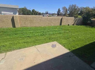 Michael D.'s Lawn Mowing service result