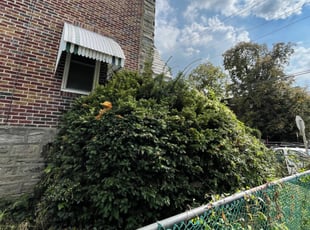 Bush Trimming by Deven Coles for Briana H. in Philadelphia, PA