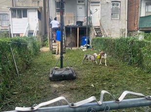 Cleanups by Felicia Ringgold for Deja g. in Baltimore, MD