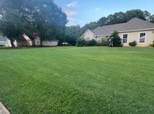 DβAndre M.'s Lawn Mowing Service service result