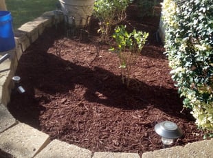 Mulching by William Akers for Natasha W. in Charlotte, NC