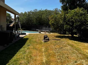 Cleanups by Robert Macias for Cheryl A. in Sacramento, CA