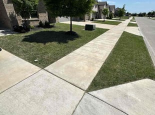 Cindy M.'s Lawn Mowing Service service result