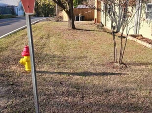 Leaf Removal by Ronaldo Hinton for Rhonda D. in Bessemer, AL