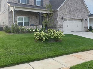 Andrew B.'s Lawn Service service result