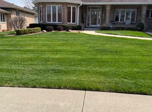 Thomas A.'s Lawn Service service result