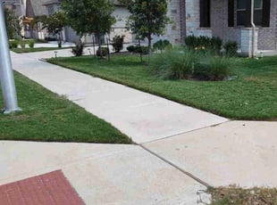 Denise H.'s Lawn Service service result