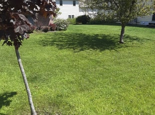 Charniece J.'s Lawn Care service result