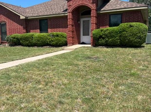 Bush Trimming by Yovani Hernandez for Kisha S. in Cedar Hill, TX