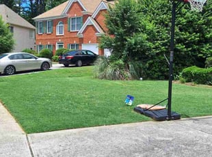 Frantz j.'s Lawn Mowing service result