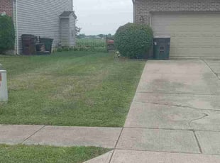 Thomas R.'s Lawn Service service result