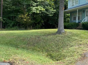 Jekisha G.'s Lawn Mowing Service service result