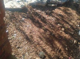Weeding by Michael Greco for John H. in San Antonio, TX