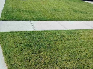 Greg M.'s Lawn Service service result