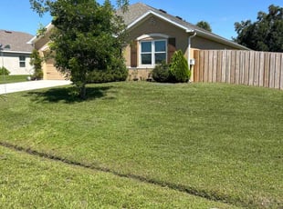 Patricia D.'s Grass Cutting service result