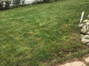 Leaf Removal by Terrance Davis for Sabrina T. in Milwaukee, WI