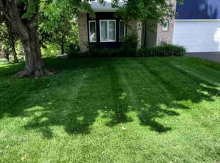Landon W.'s Yard Cutting service result