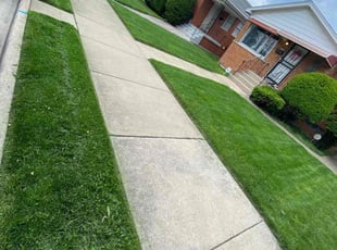 Shanise K.'s Lawn Service service result