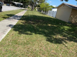 Cynthia C.'s Lawn Maintenance service result