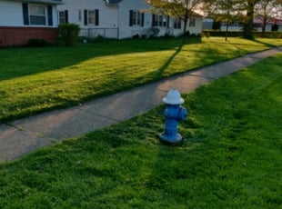 Melanie K.'s Yard Cutting service result