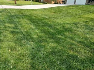 dottie c.'s Grass Cutting service result
