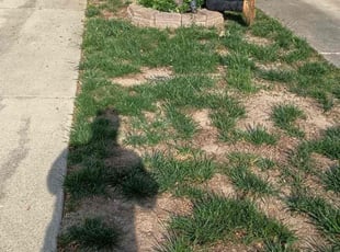 Weeding by Manny Chavez for Vanessa C. in Stafford, VA
