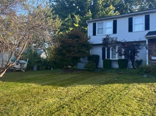 Ken S.'s Lawn Mowing Service service result
