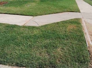 Ryan J.'s Lawn Service service result