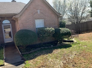 Bush Trimming by Daniel Castellanos for Lekesia J. in Memphis, TN