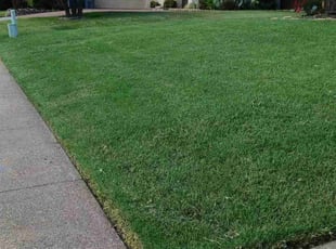 Arthurine W.'s Lawn Care service result